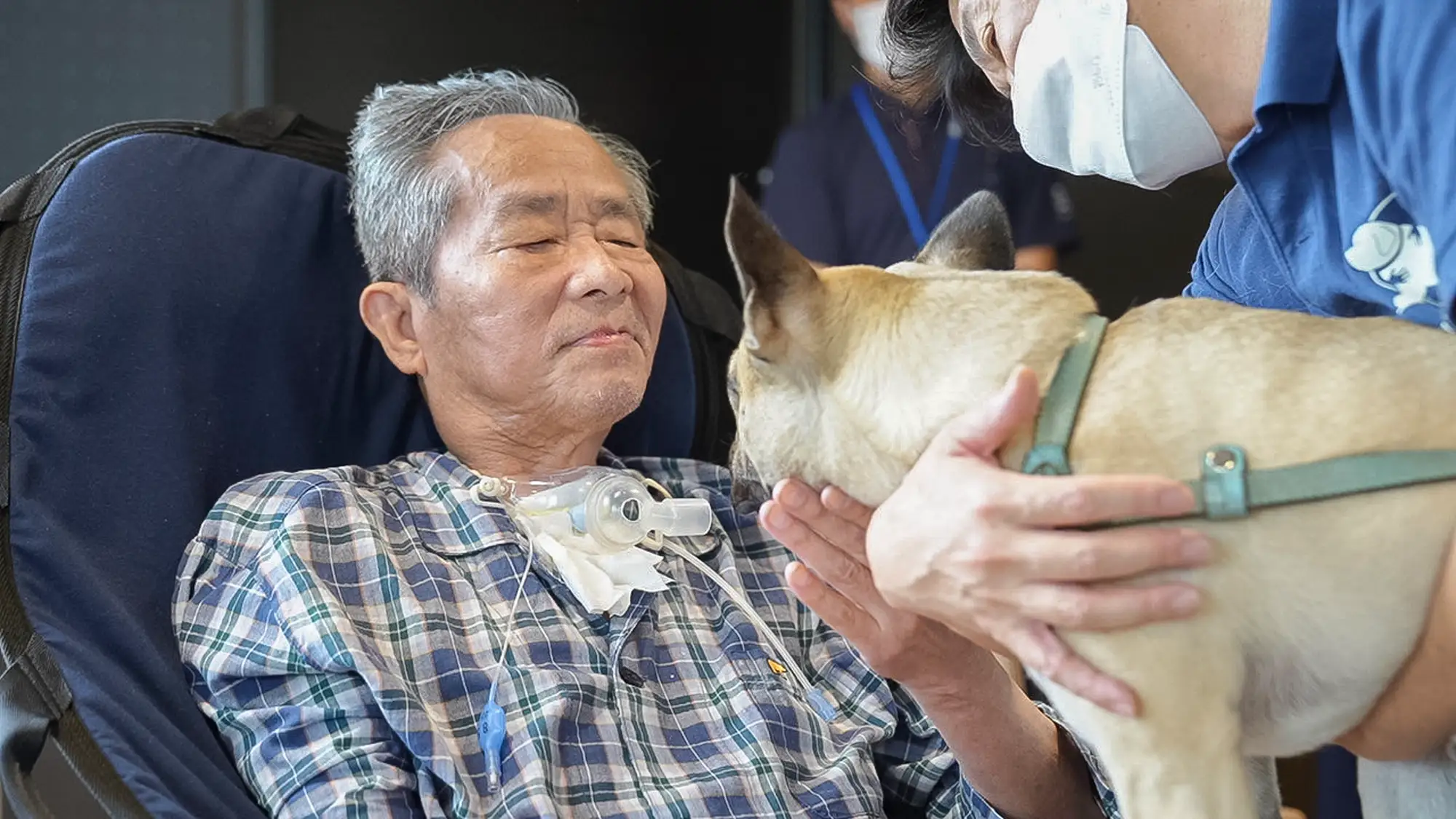 CLASWELL下石神井