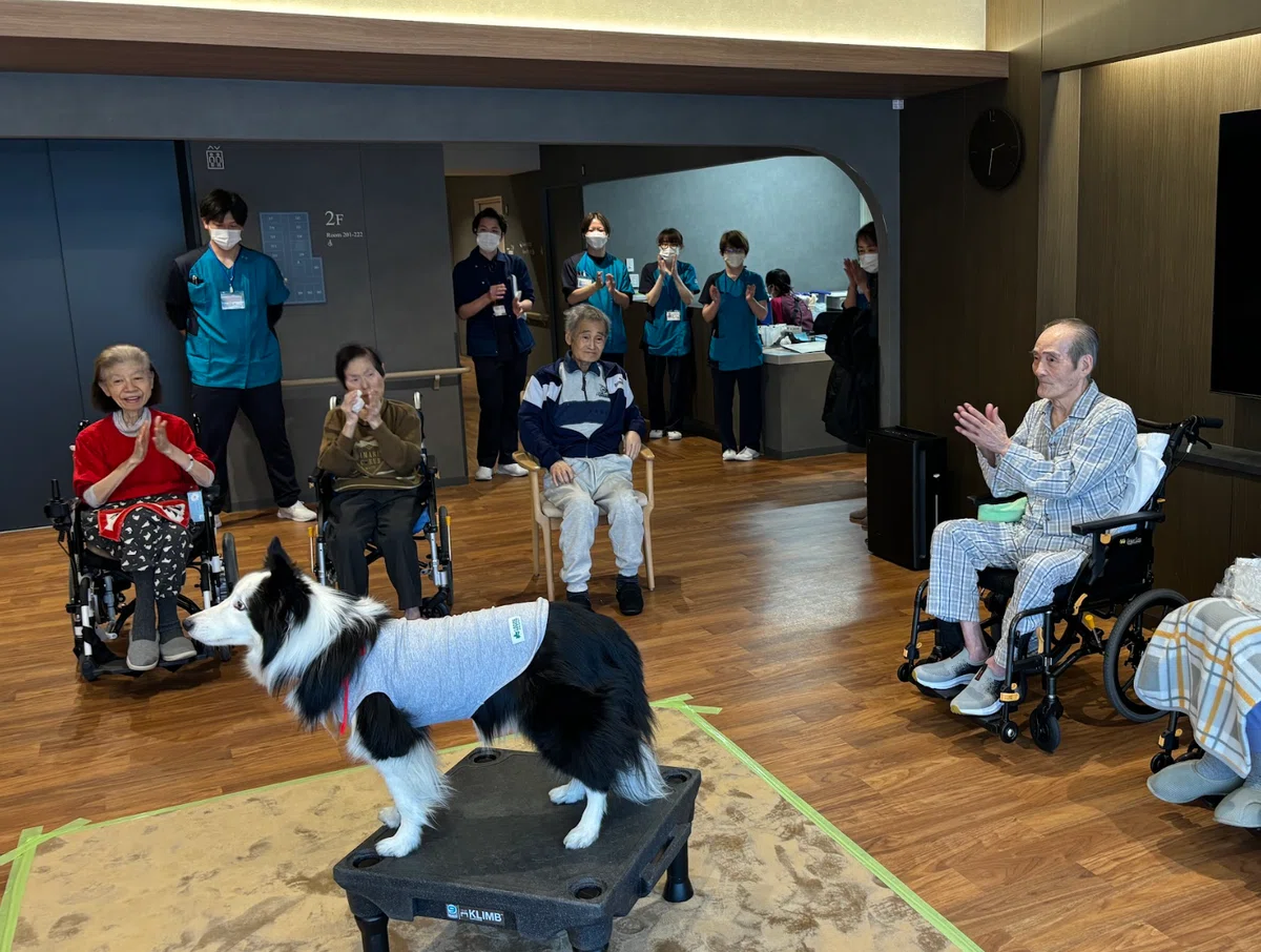 CLASWELL小竹向原