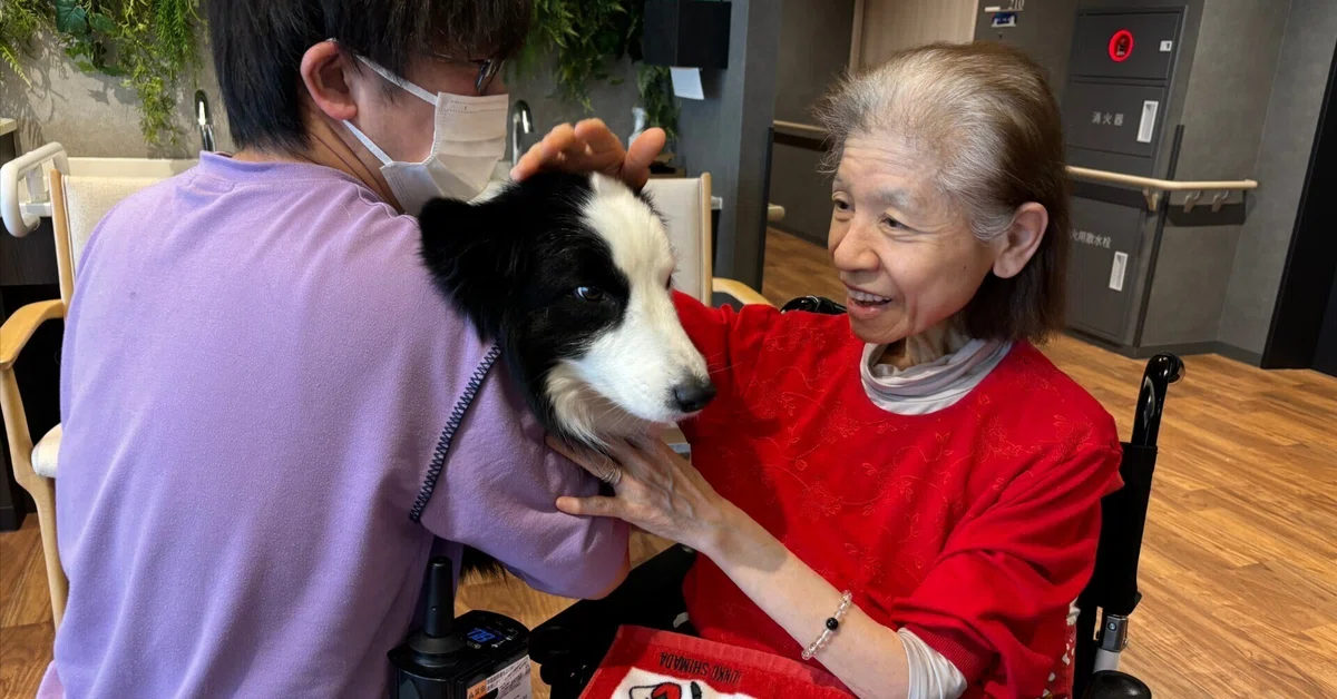 CLASWELL小竹向原